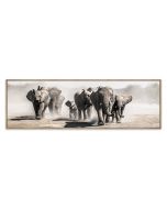 Framed Canvas 32x100 Elephants
