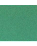 PP Kartong syrafri 81,5x120 Emerald/Vit 1400gram